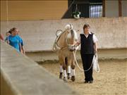 voltitag 2009 _CD1 085